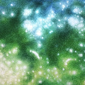 wisteria